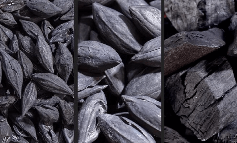 Arigna’s Biochar Innovation with Olive Pits