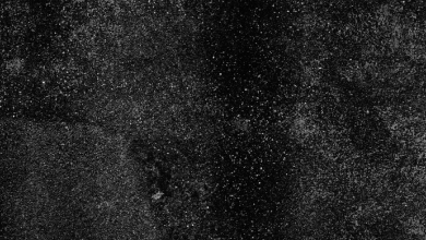 Biochar Dust Exposure Risks​