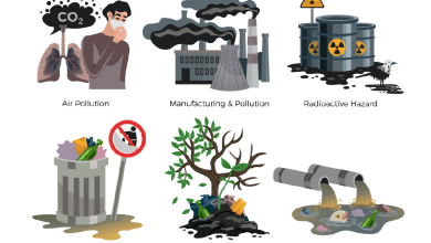 Biochar's Effectiveness in Odor Control