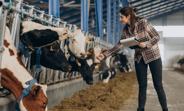 Biochar in Livestock Farming: Health and Emissions​