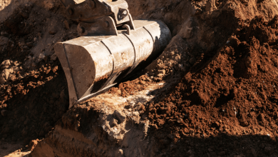 Biochar in Soil Remediation: Recent Successes