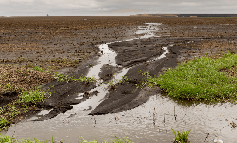Biochar Reduces Agricultural Runoff