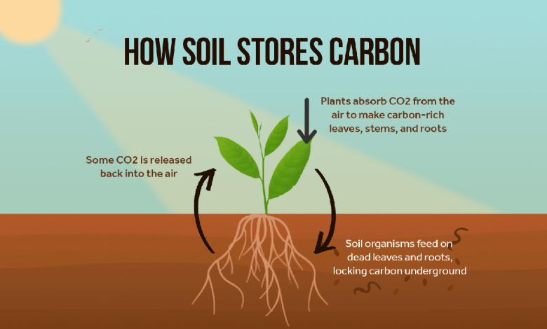 Biochar & CO₂ Sequestration Breakthrough