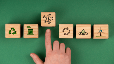 Biochar Standardization Challenges