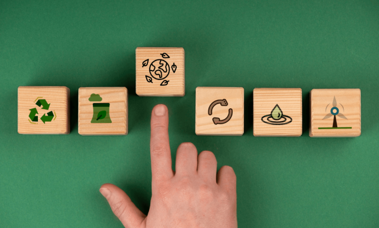 Biochar Standardization Challenges