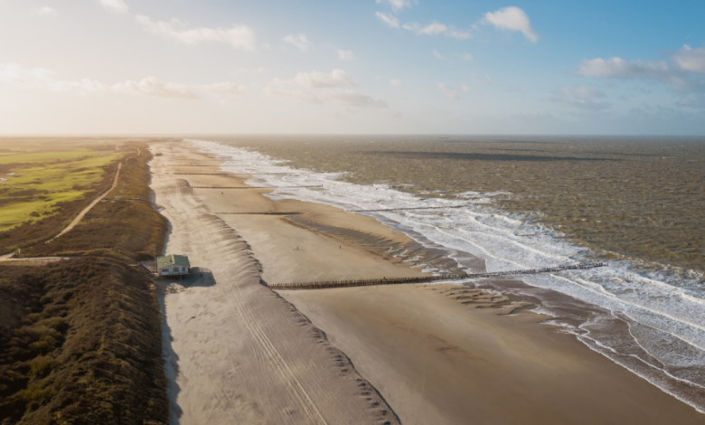 Biochar's Impact on Coastal Soils