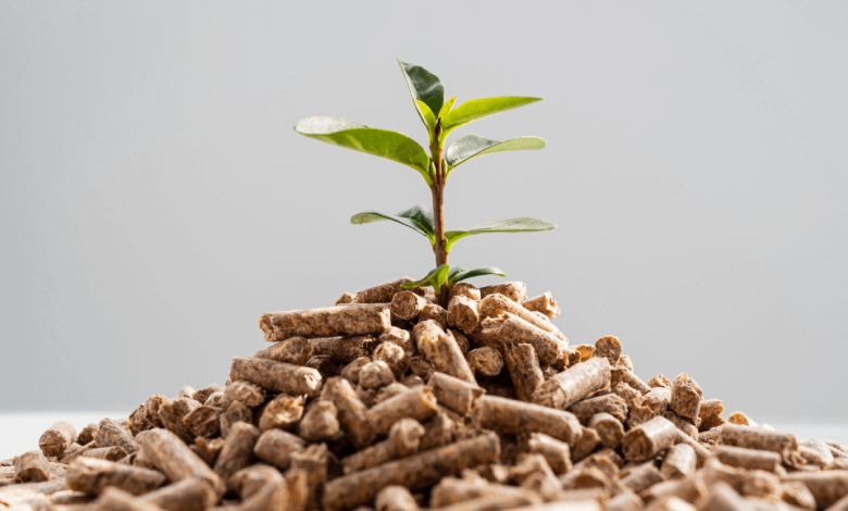 Biomass Hydrogen Breakthrough in Switzerland