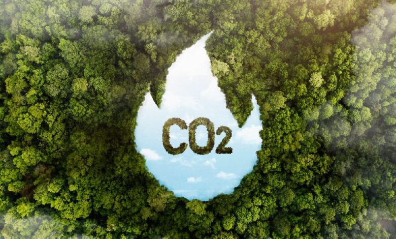 Earning Carbon Credits with Biochar