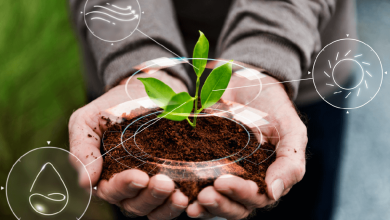 Grassroots Biochar Initiatives