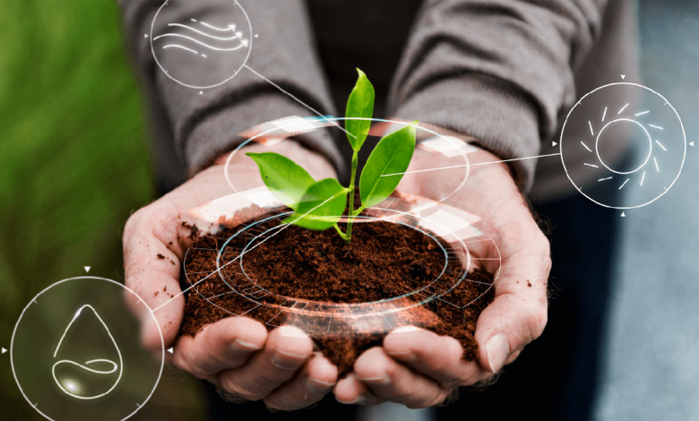 Grassroots Biochar Initiatives