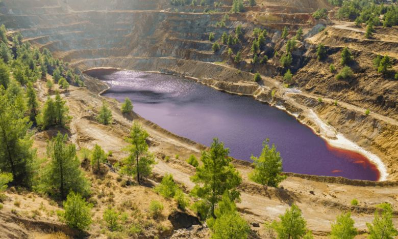 Harnessing Biochar for Mine Site Rehabilitation